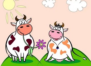 проективная методика бык и корова